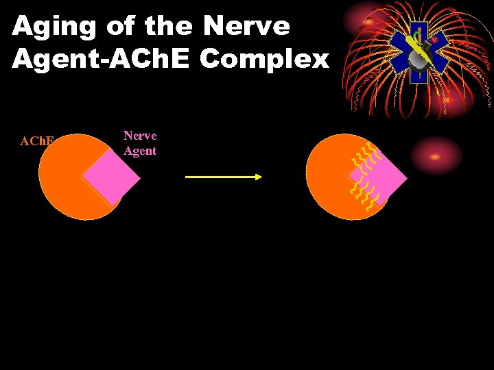 Aging of the Nerve Agent-ACh. E Complex ACh. E Nerve Agent 