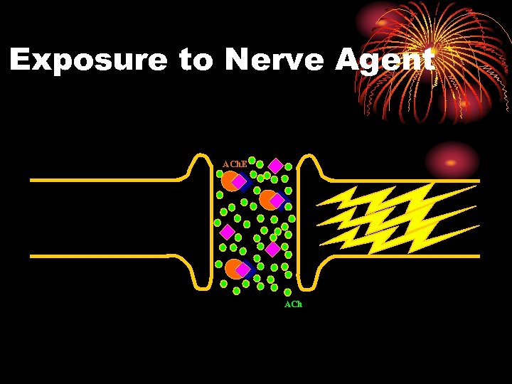 Exposure to Nerve Agent ACh. E ACh 