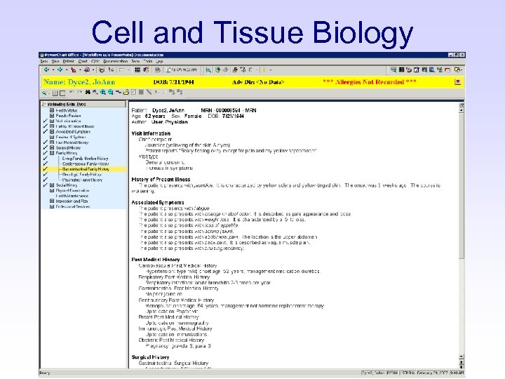 Cell and Tissue Biology 