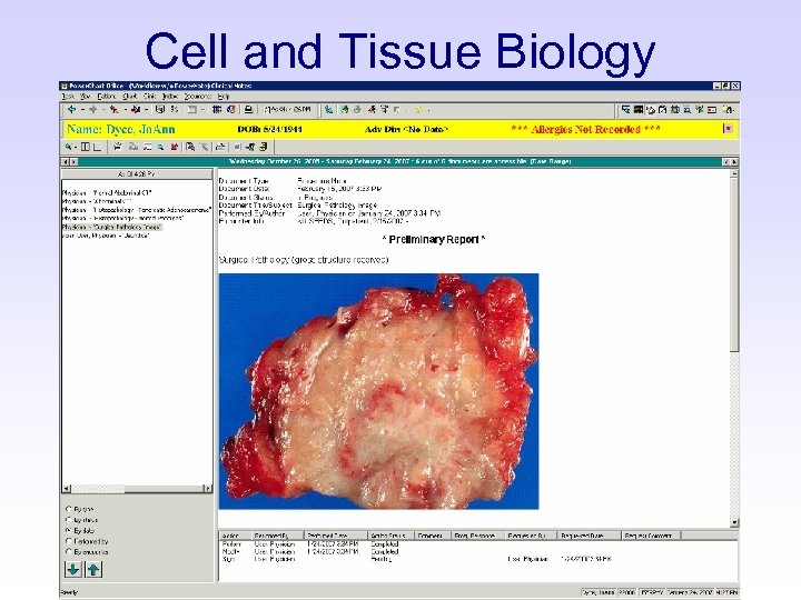 Cell and Tissue Biology 