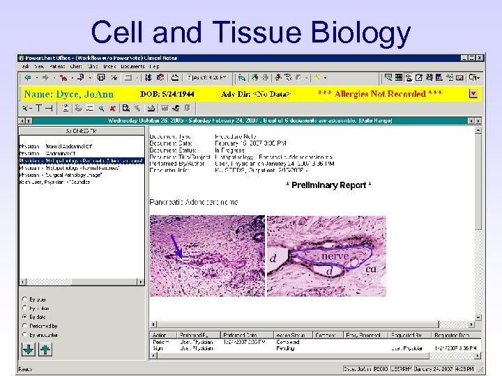 Cell and Tissue Biology 