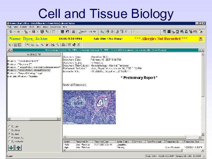 Cell and Tissue Biology 