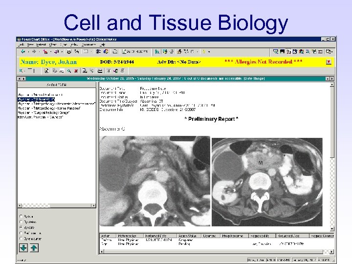 Cell and Tissue Biology 