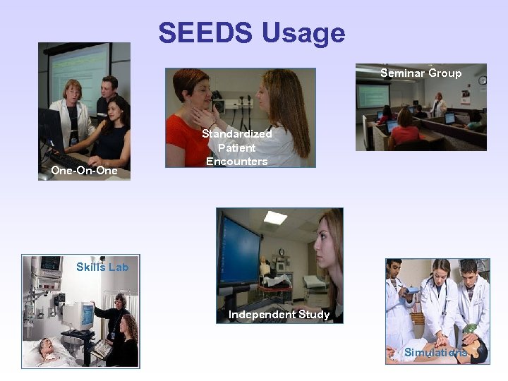 SEEDS Usage Seminar Group One-On-One Standardized Patient Encounters Skills Lab Independent Study Simulations 