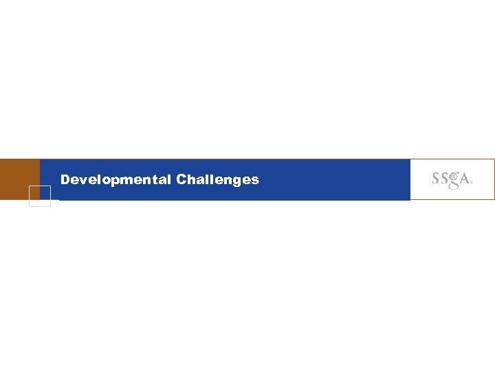 Developmental Challenges 