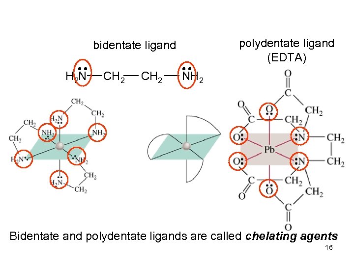bidentate ligand • • H 2 N CH 2 NH 2 polydentate ligand (EDTA)