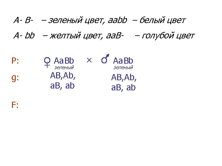 A- B- – зеленый цвет, aаbb – белый цвет А- bb – желтый цвет,