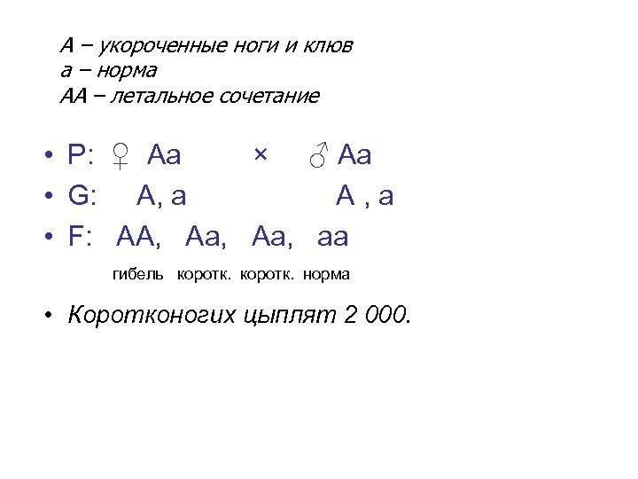 А – укороченные ноги и клюв а – норма АА – летальное сочетание •