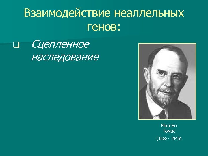 Взаимодействие неаллельных генов: q Сцепленное наследование Морган Томас (1866 - 1945) 