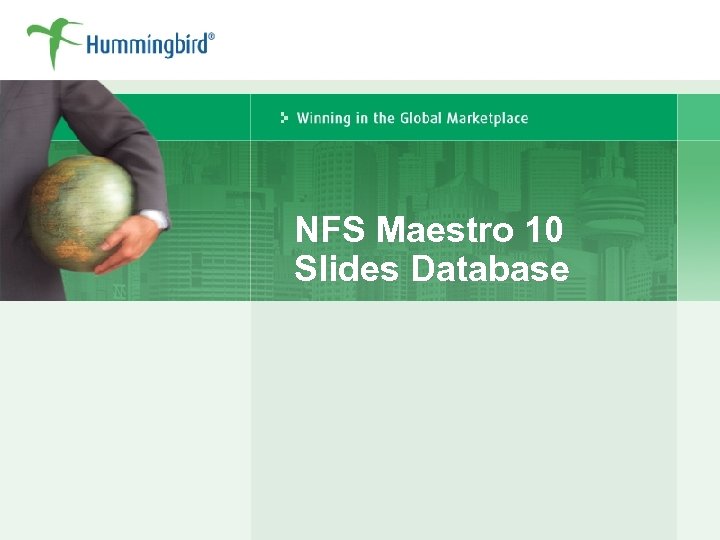 NFS Maestro 10 Slides Database 