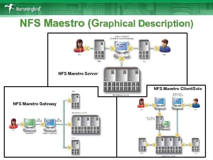 NFS Maestro (Graphical Description) NFS Maestro Server NFS Maestro Client/Solo NFS Maestro Gateway 