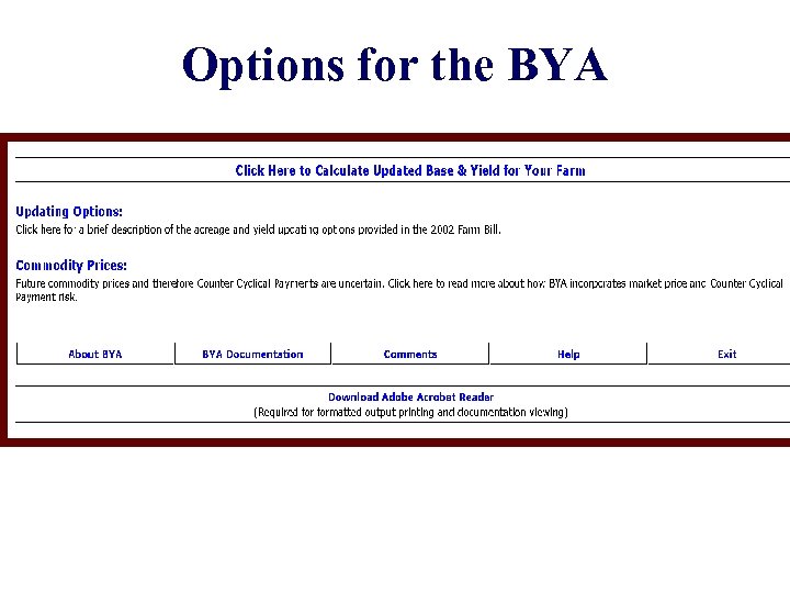 Options for the BYA 