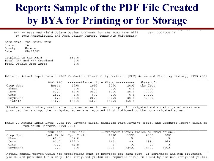 Report: Sample of the PDF File Created by BYA for Printing or for Storage