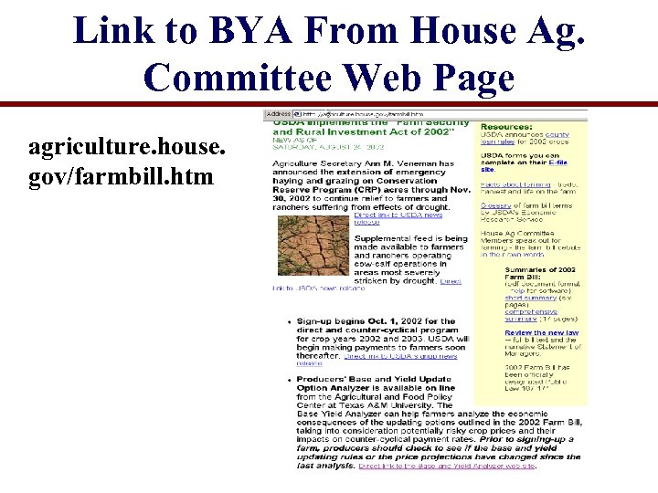 Link to BYA From House Ag. Committee Web Page agriculture. house. gov/farmbill. htm 