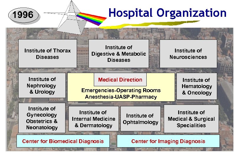 Hospital Organization 1996 Institut of Thorax Institute Diseases of Thorax Diseases Institut of Institute