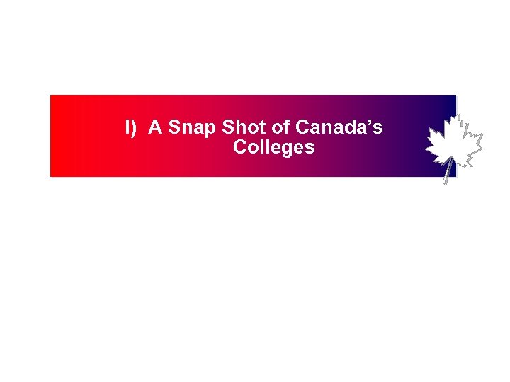 I) A Snap Shot of Canada’s Colleges 3 