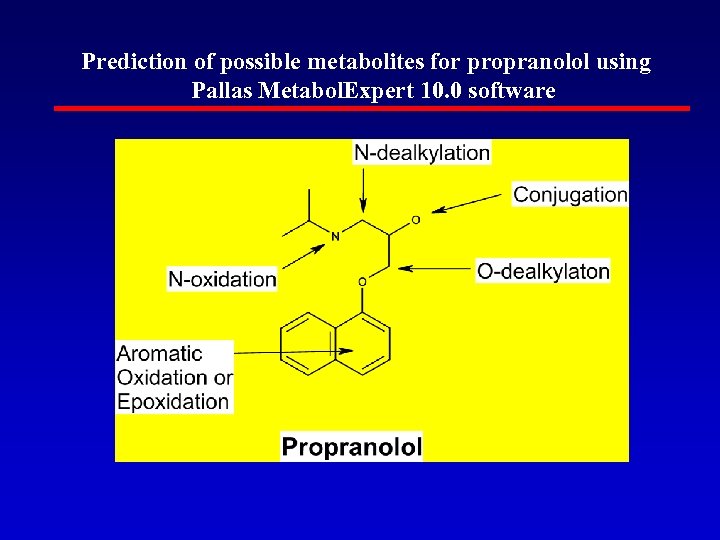  Prediction of possible metabolites for propranolol using Pallas Metabol. Expert 10. 0 software