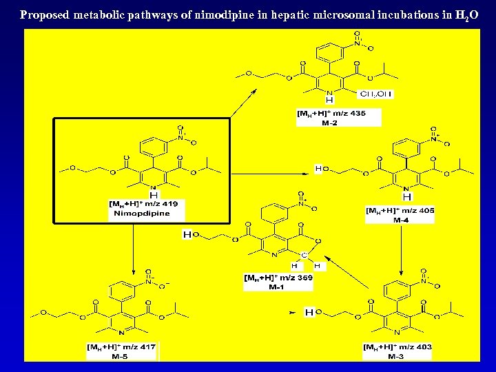  Proposed metabolic pathways of nimodipine in hepatic microsomal incubations in H 2 O