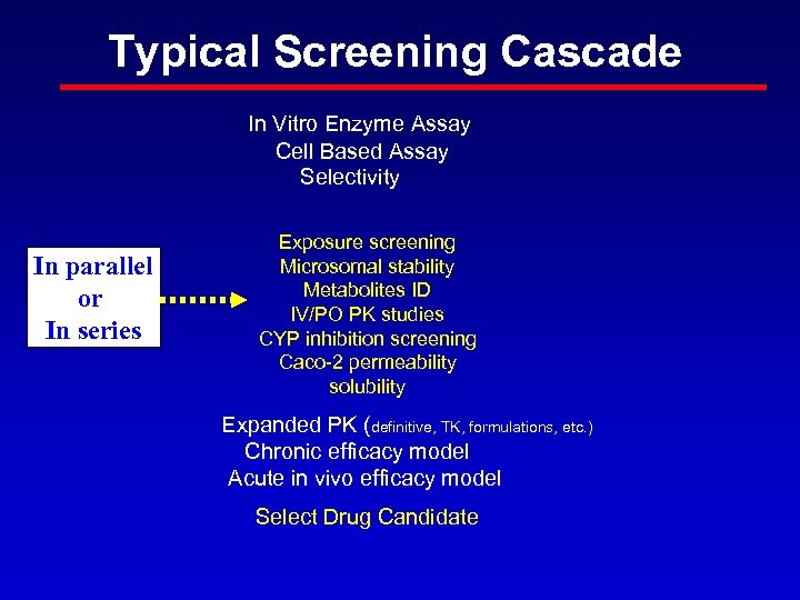Typical Screening Cascade In Vitro Enzyme Assay Cell Based Assay Selectivity In parallel or