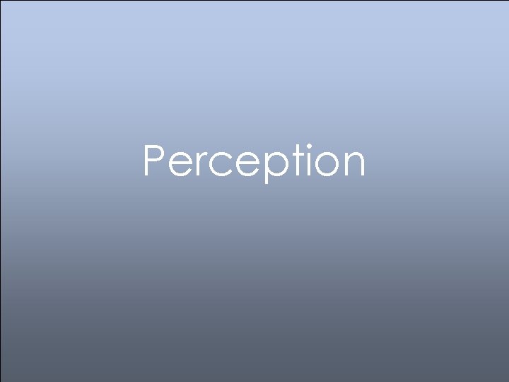 Perception 