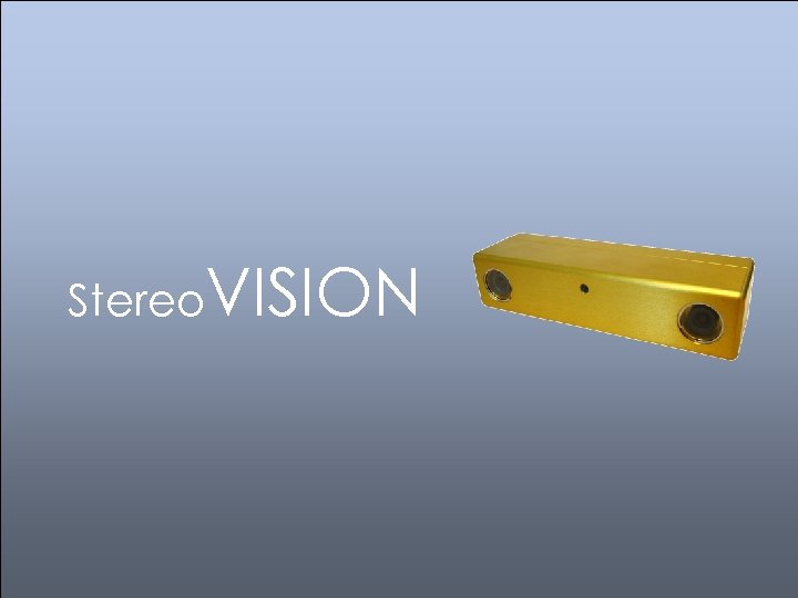 Stereo. VISION 