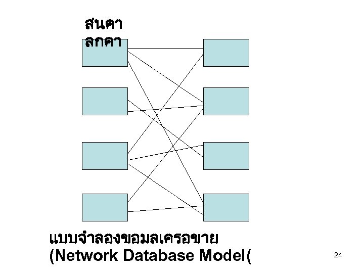สนคา ลกคา แบบจำลองขอมลเครอขาย (Network Database Model( 24 