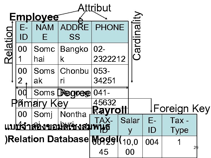 Cardinality Employee Attribut e Relation E- NAM ADDRE PHONE ID E SS 00 Somc