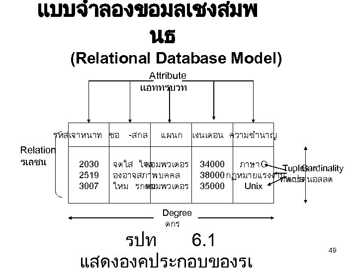แบบจำลองขอมลเชงสมพ นธ (Relational Database Model) Attribute แอททรบวท รหสเจาหนาท ชอ Relation รเลชน 2030 2519 3007