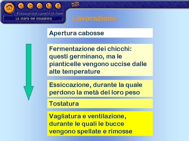 La storia del cioccolato Lavorazione Apertura cabosse Fermentazione dei chicchi: questi germinano, ma le