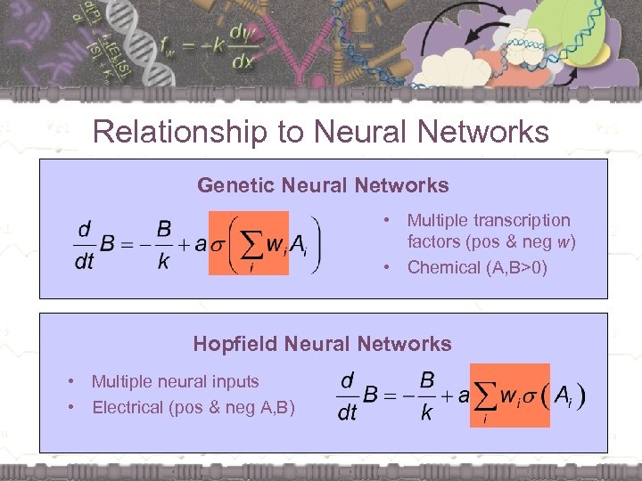Relationship to Neural Networks Genetic Neural Networks • Multiple transcription factors (pos & neg