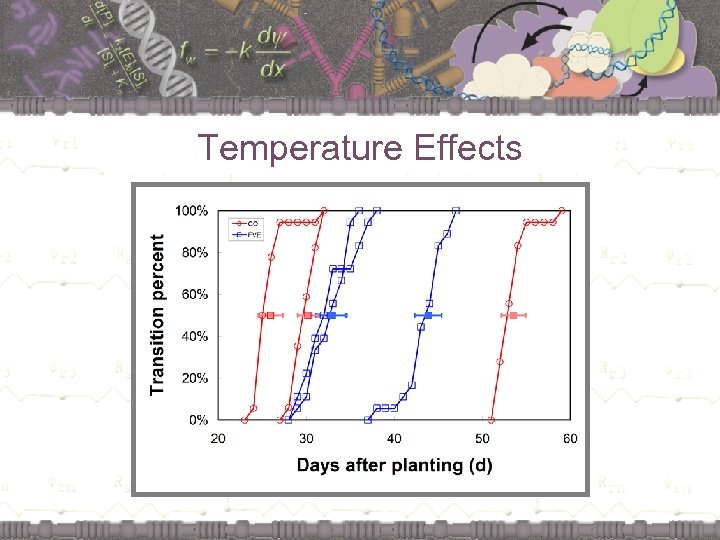 Temperature Effects 