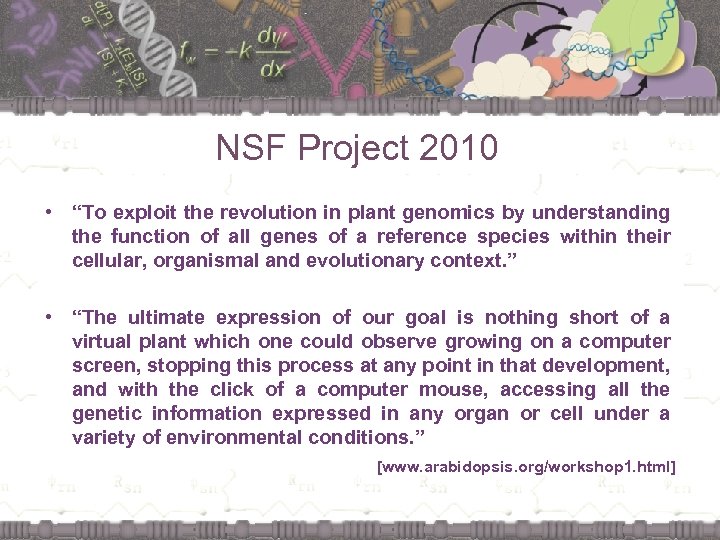 NSF Project 2010 • “To exploit the revolution in plant genomics by understanding the