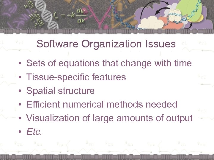 Software Organization Issues • • • Sets of equations that change with time Tissue-specific