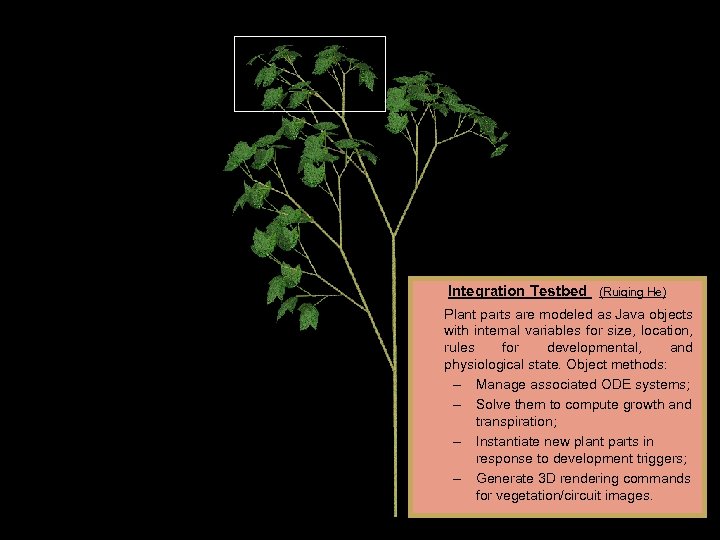 Integration Testbed (Ruiqing He) Plant parts are modeled as Java objects with internal variables