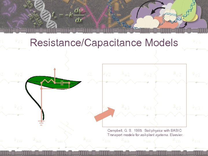 Resistance/Capacitance Models || Campbell, G. S. 1985. Soil physics with BASIC: Transport models for