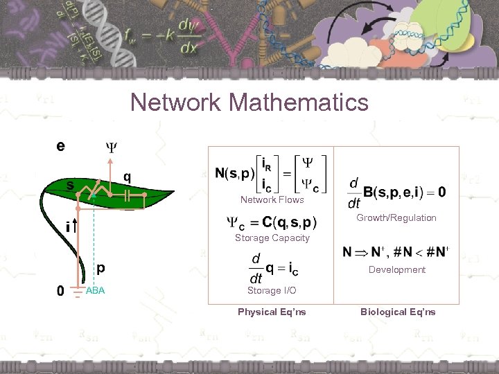 Network Mathematics || Network Flows Growth/Regulation Storage Capacity Development ABA Storage I/O Physical Eq’ns