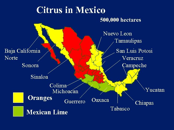 Citrus in Mexico 500, 000 hectares Nuevo Leon Tamaulipas Baja California Norte Sonora San
