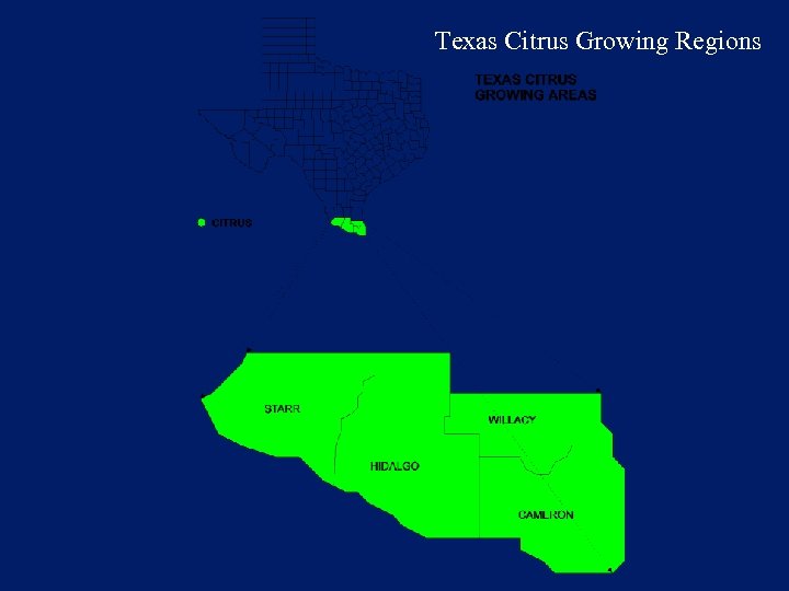 Texas Citrus Growing Regions 