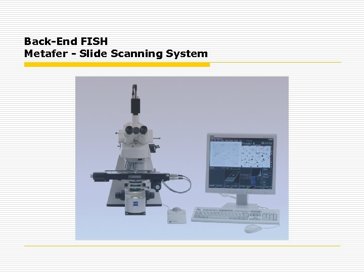 Back-End FISH Metafer - Slide Scanning System 