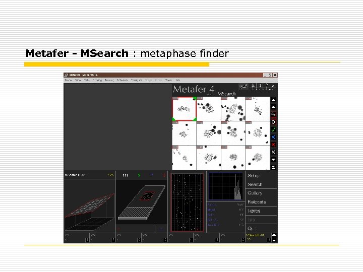 Metafer - MSearch : metaphase finder 