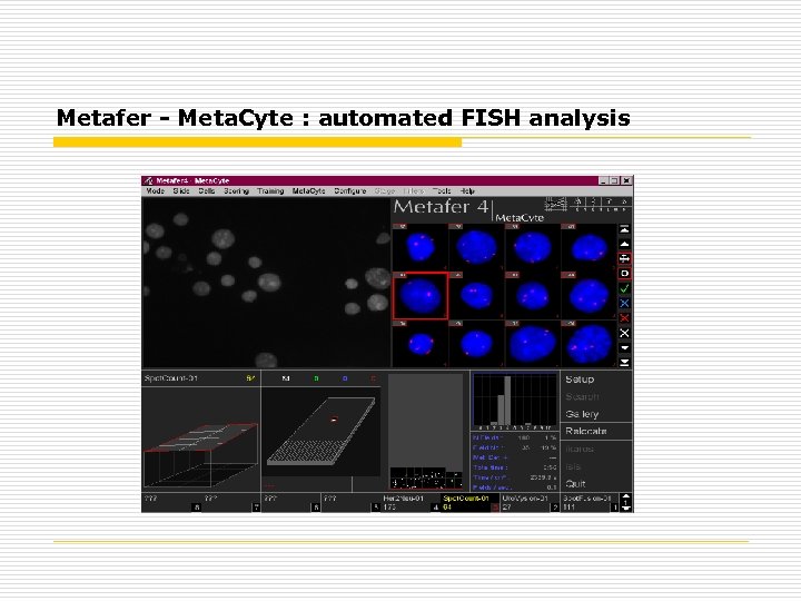 Metafer - Meta. Cyte : automated FISH analysis 