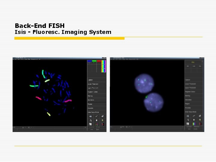 Back-End FISH Isis - Fluoresc. Imaging System 