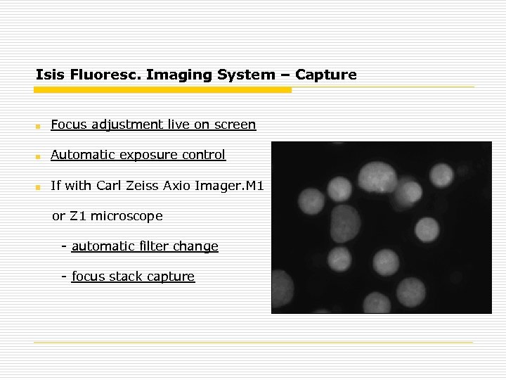 Isis Fluoresc. Imaging System – Capture Focus adjustment live on screen Automatic exposure control