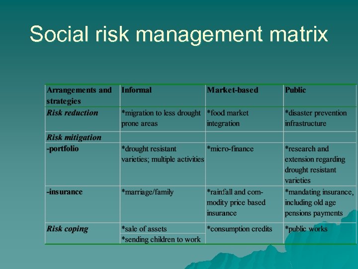 Social risk management matrix 