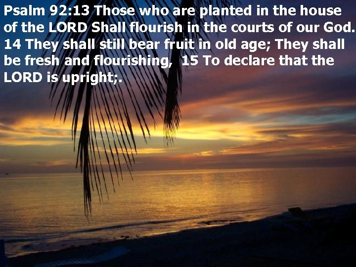 Psalm 92: 13 Those who are planted in the house of the LORD Shall