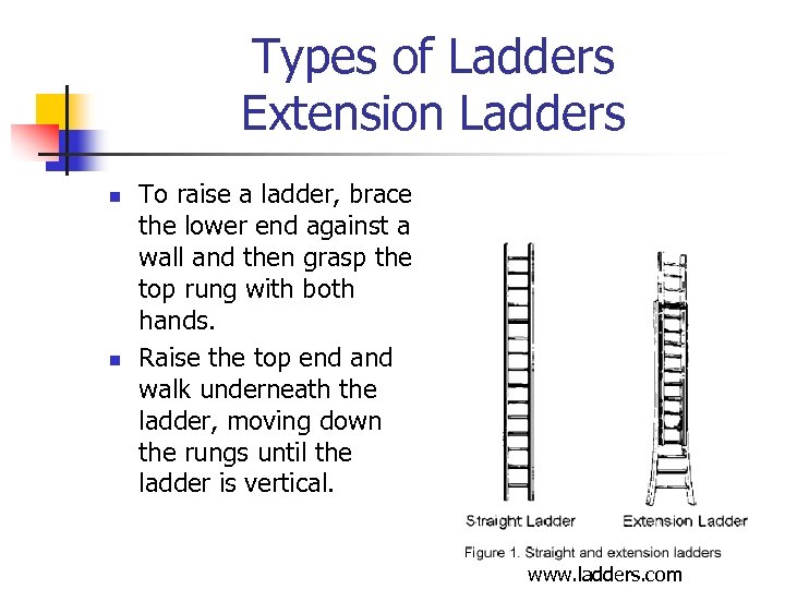 Types of Ladders Extension Ladders n n To raise a ladder, brace the lower