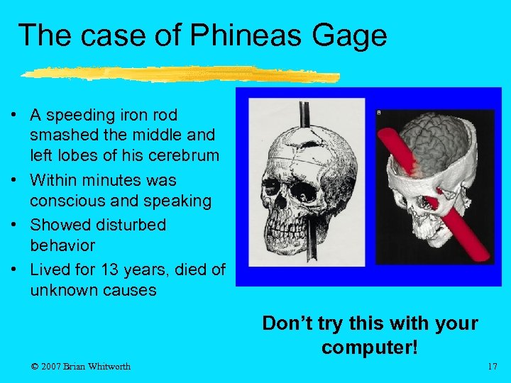 The case of Phineas Gage • A speeding iron rod smashed the middle and