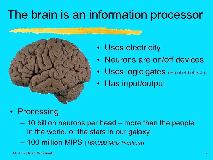 The brain is an information processor • • Uses electricity Neurons are on/off devices