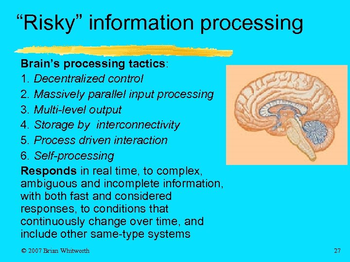 “Risky” information processing Brain’s processing tactics: 1. Decentralized control 2. Massively parallel input processing