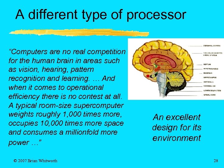 A different type of processor “Computers are no real competition for the human brain